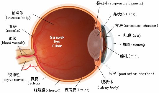 微信图片_20220606100229.png