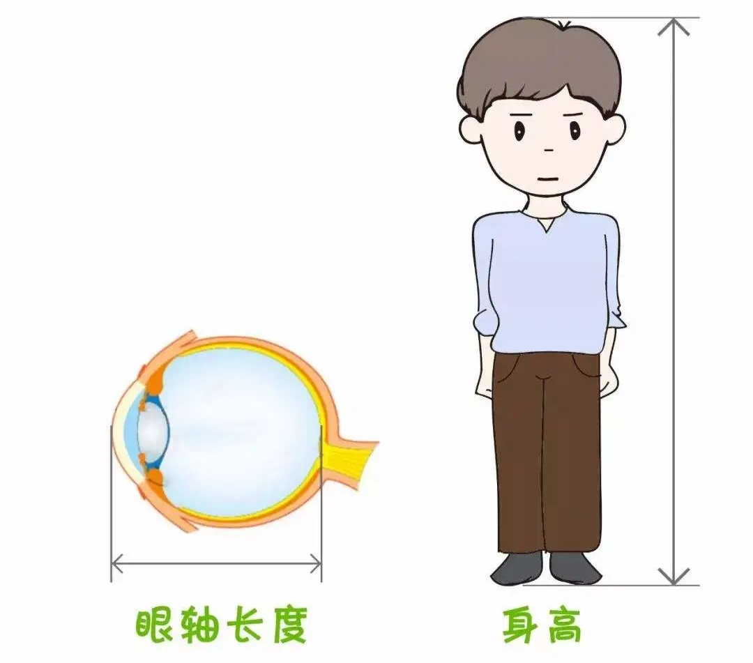 93c243c4470f17e2f431517e4ee8d2a3.png