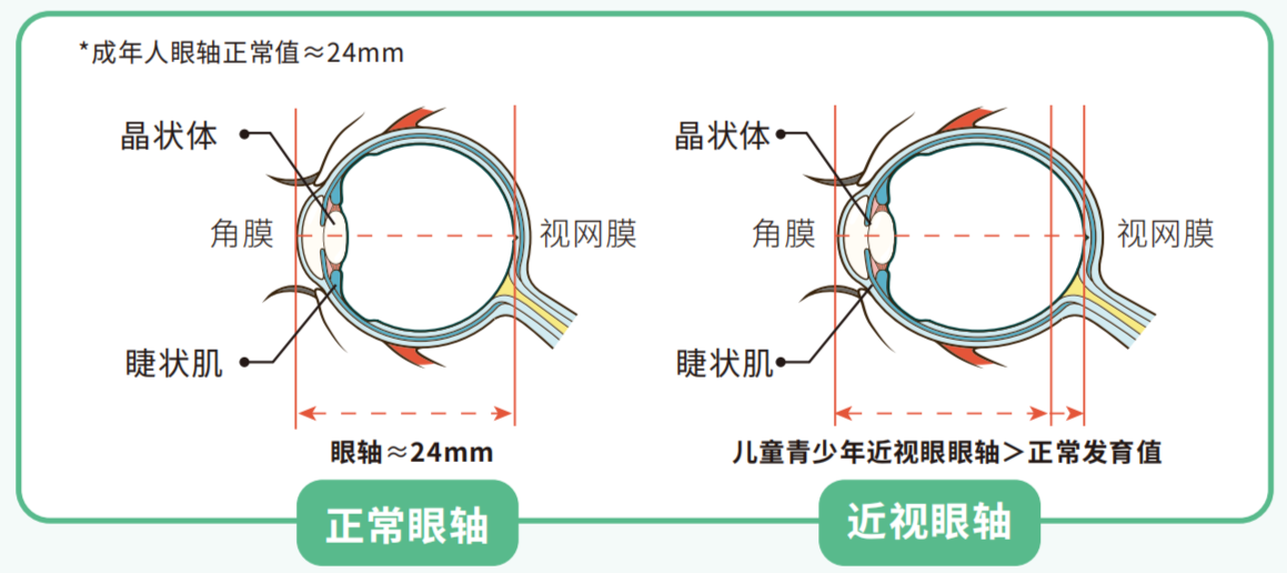 f965ad99eb9f229be353a84e65c136ba.png