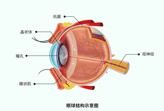 2b686d2c2966eb255dac232d1848799c.png